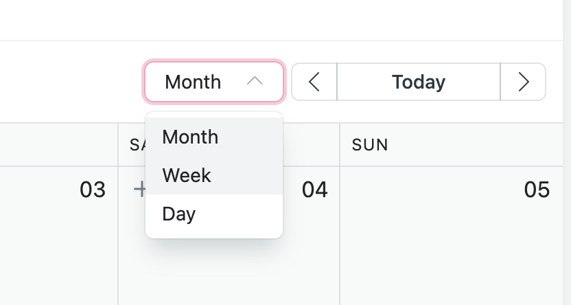 Calendar View